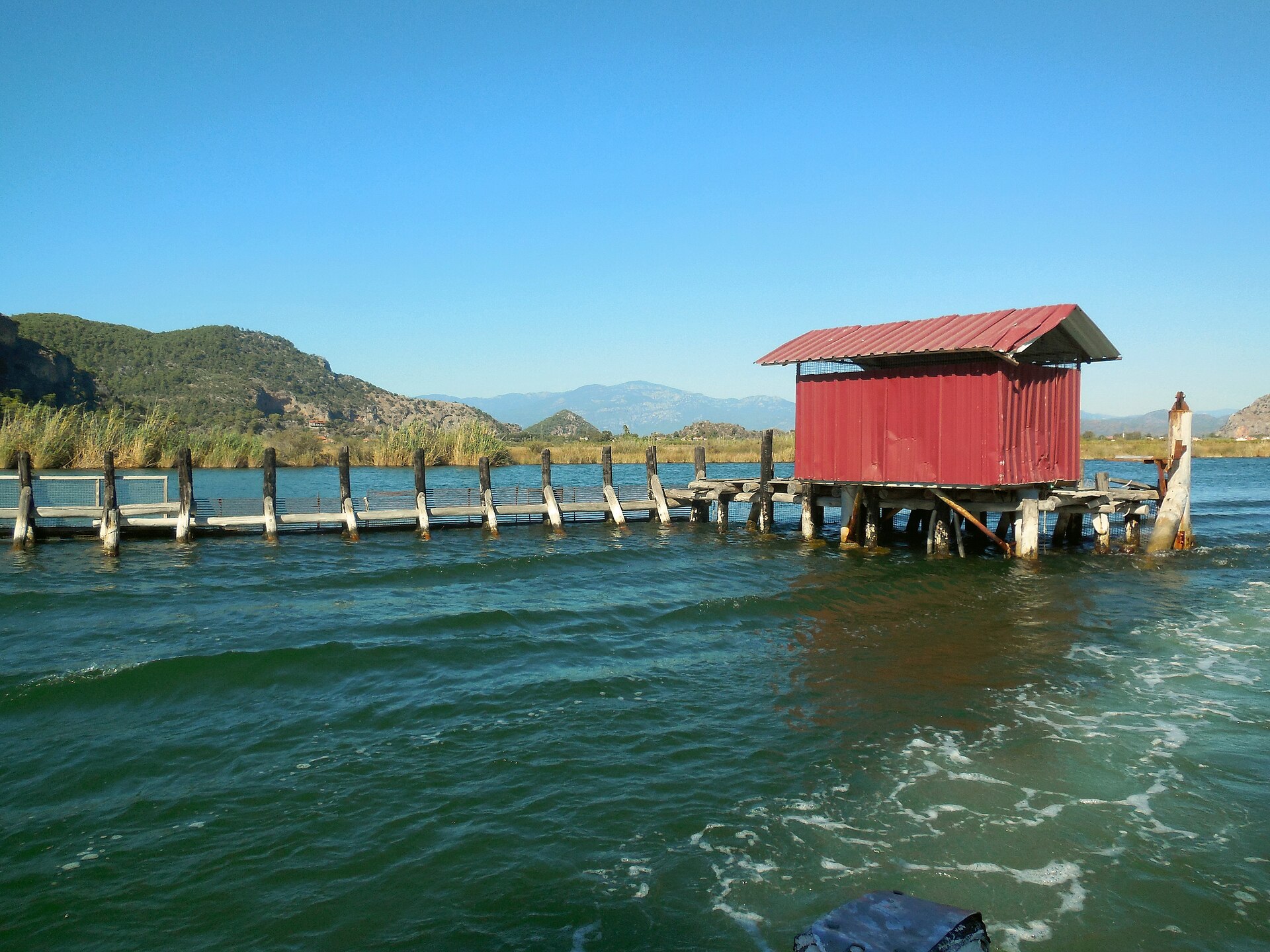Dalyan Günlük Tekne Turu