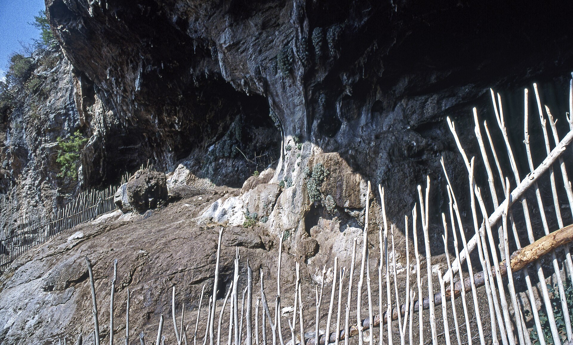 Dalyan İztuzu Tekne Taksi (Gidiş-Dönüş)