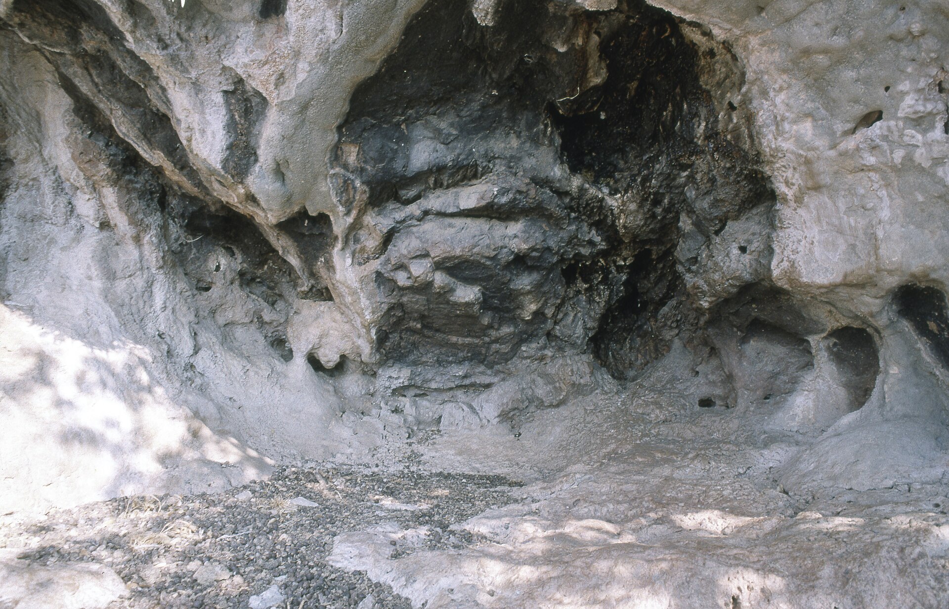Dalyan İztuzu Tekne Taksi (Gidiş-Dönüş)