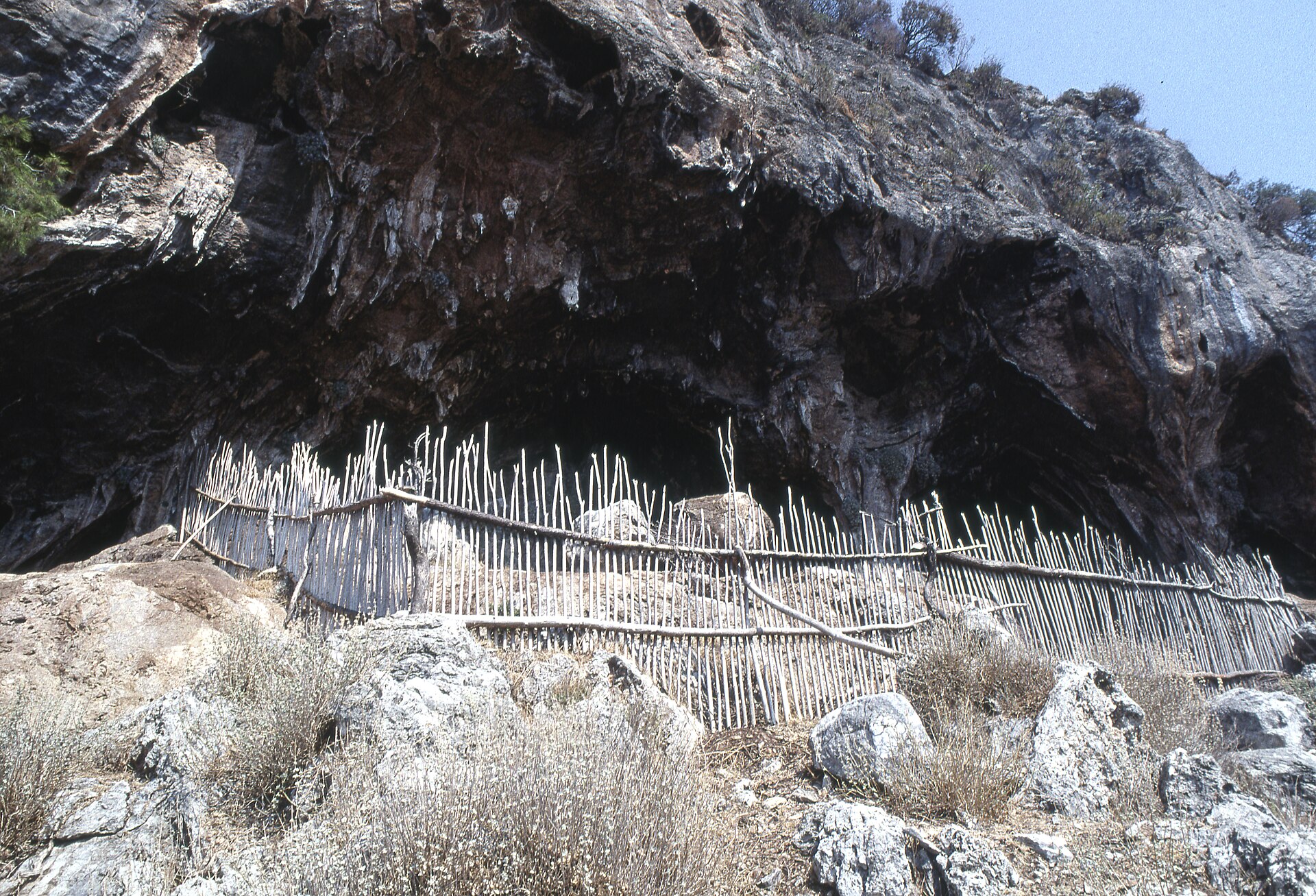 Dalyan İztuzu Tekne Taksi (Gidiş-Dönüş)
